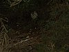 uguale.JPG