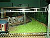 IM000904.JPG