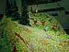 IM001017a.JPG
